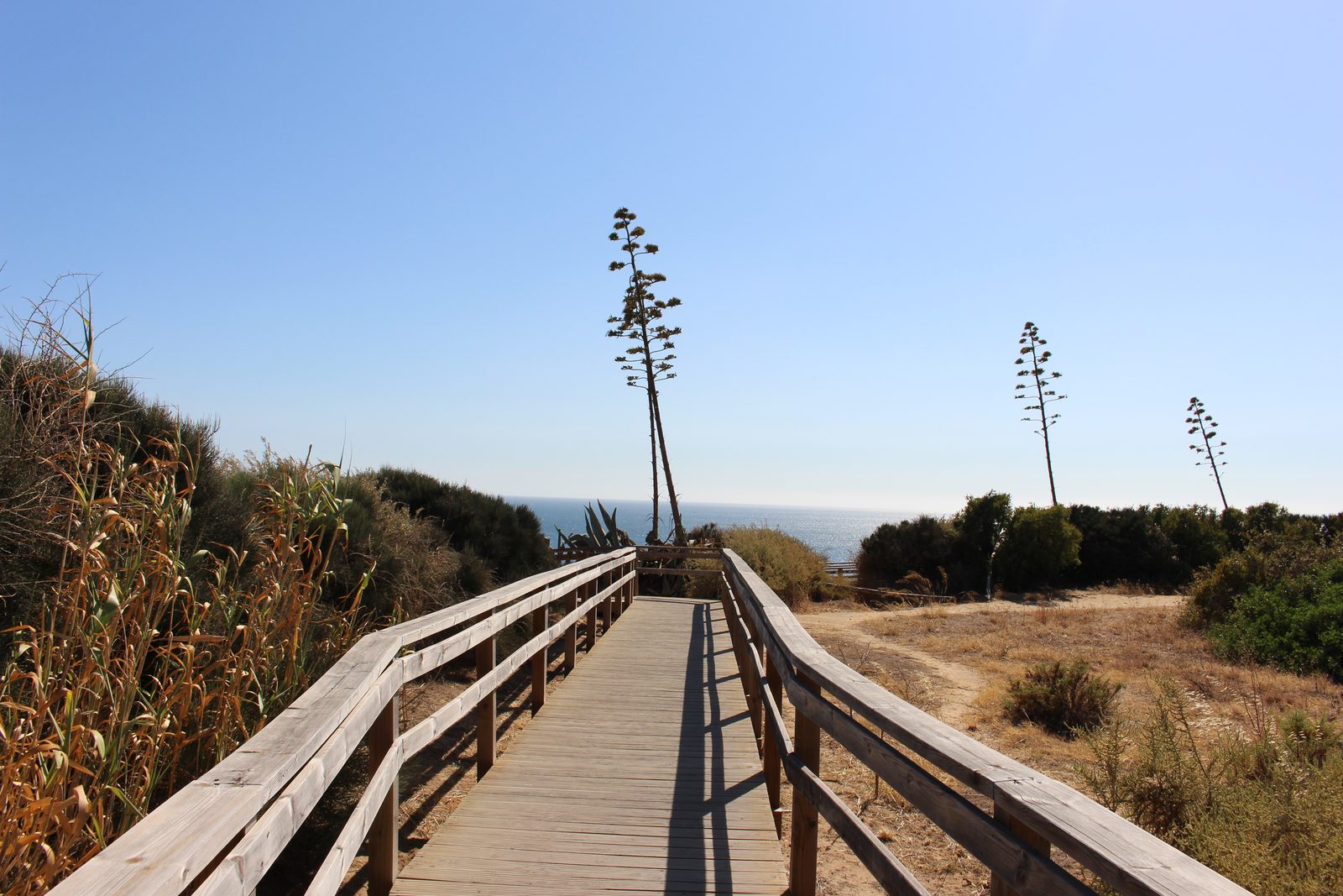 Coastal path, Portugal
