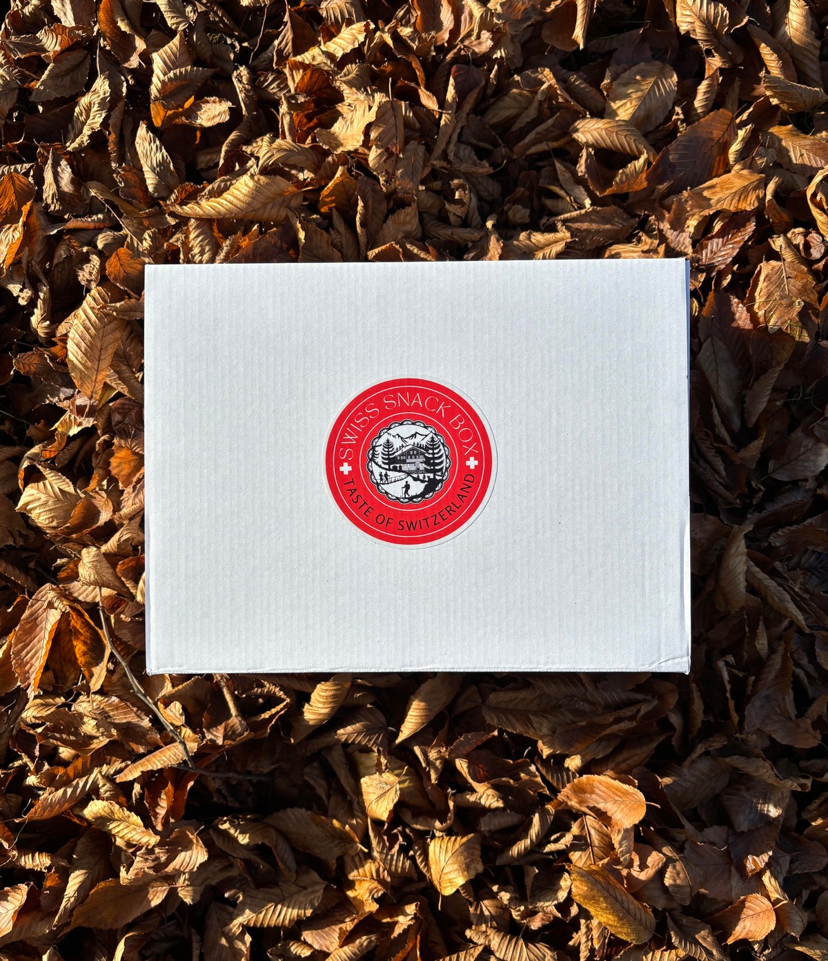 Swiss Snack Box on autumn leaves